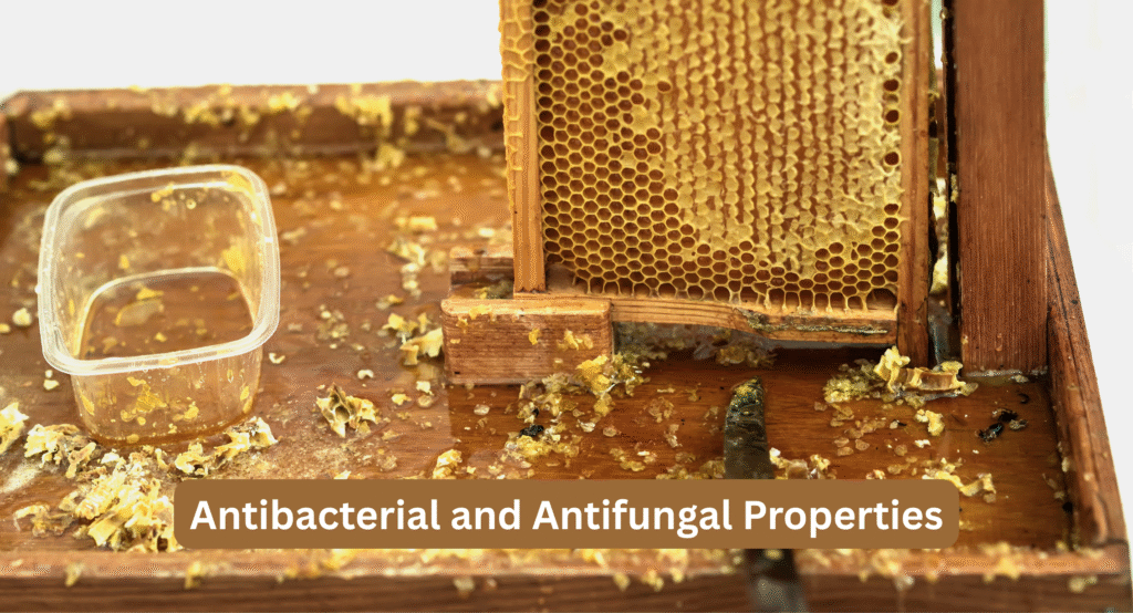 Antibacterial and Antifungal Properties
