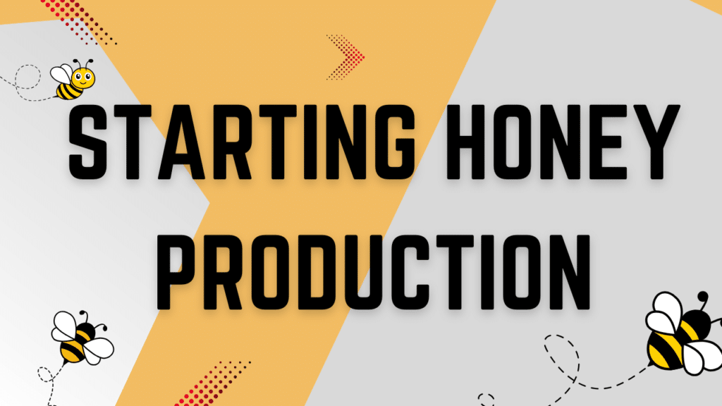 Starting Honey Production