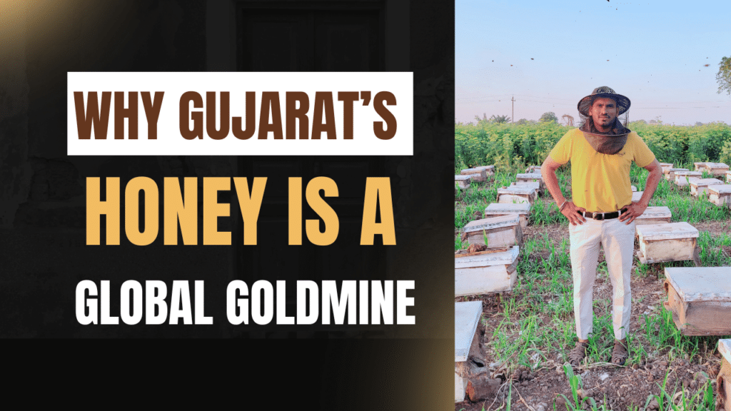 Why Gujarats Honey is a Global Goldmine