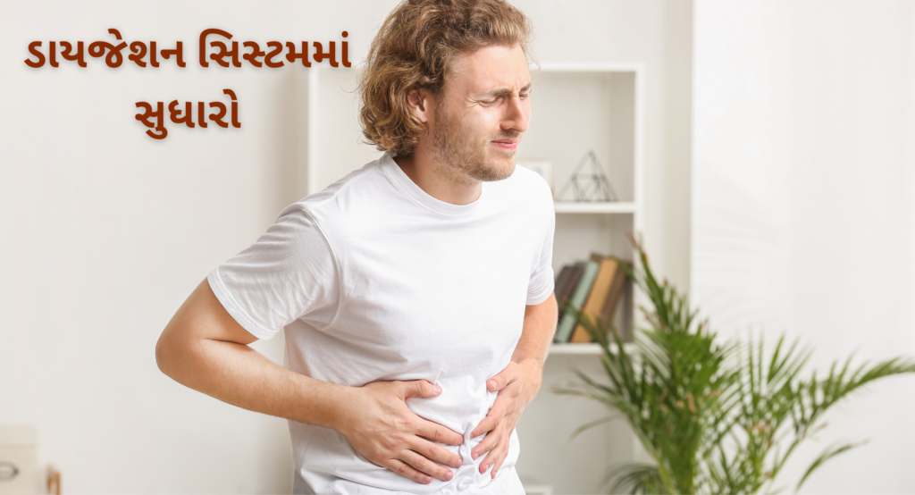 ડાયજેશન સિસ્ટમમાં સુધારો