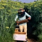 sattvanik honey